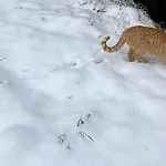 Glatz Hof Nockberge * Gnesau