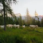 דירה Glatz Hof Nockberge