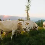 Glatz Hof Nockberge דירה Gnesau