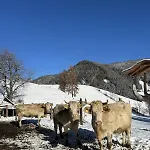 Glatz Hof Nockberge דירה *