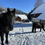 דירה Glatz Hof Nockberge Gnesau