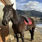 דירה Glatz Hof Nockberge Gnesau