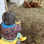 Glatz Hof Nockberge Gnesau