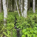 Glatz Hof Nockberge דירה *