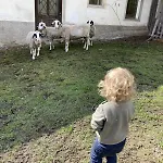 Glatz Hof Nockberge דירה *