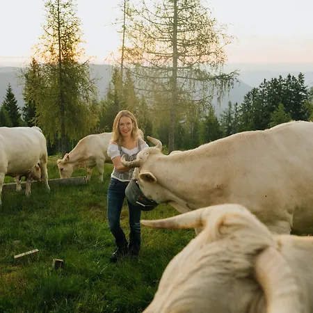 Lejlighed Glatz Hof Nockberge *