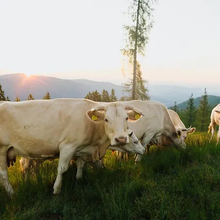 Glatz Hof Nockberge Apartament *