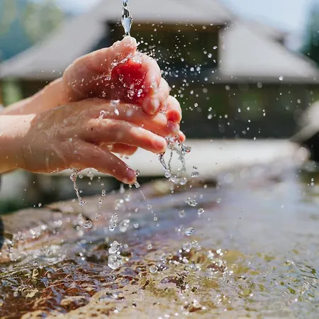 Glatz Hof Nockberge Gnesau