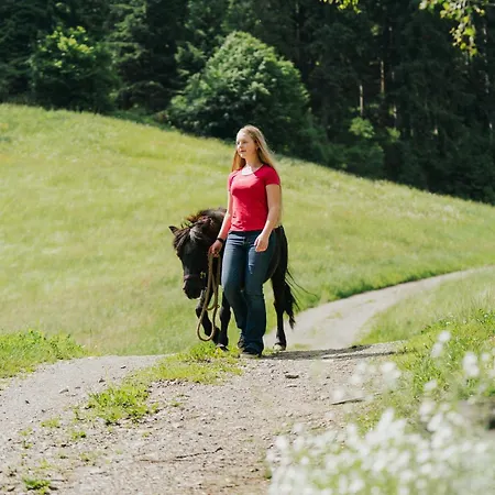 Glatz Hof Nockberge Lejlighed