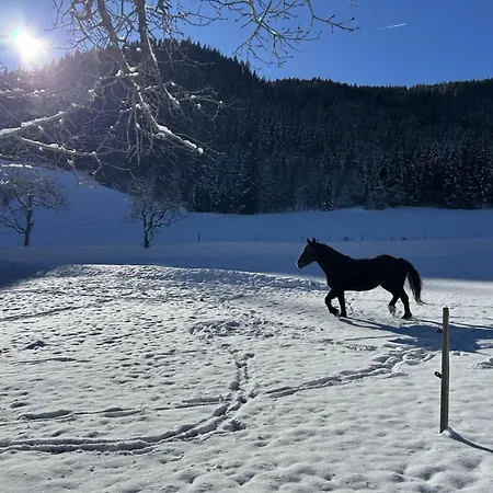 Glatz Hof Nockberge