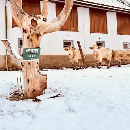 Appartement Glatz Hof Nockberge *