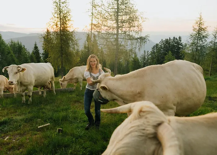 Apartament Glatz Hof Nockberge *