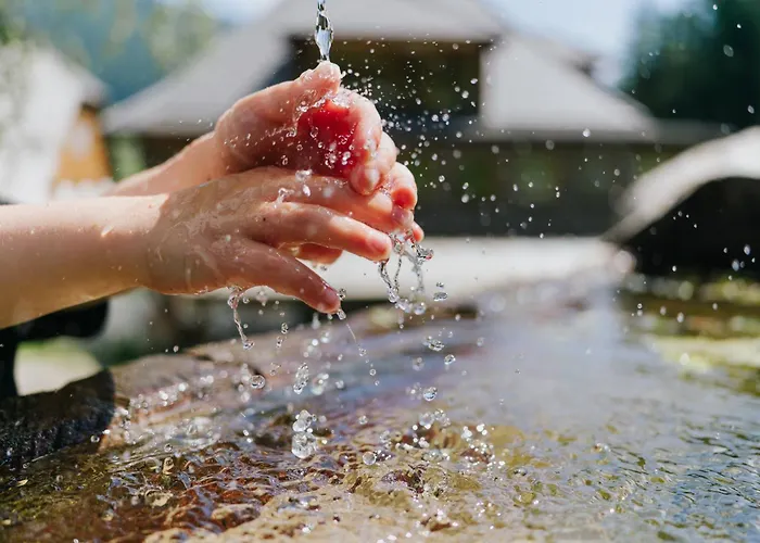 Glatz Hof Nockberge Gnesau
