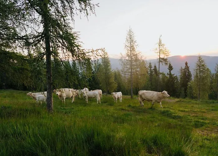 Apartament Glatz Hof Nockberge