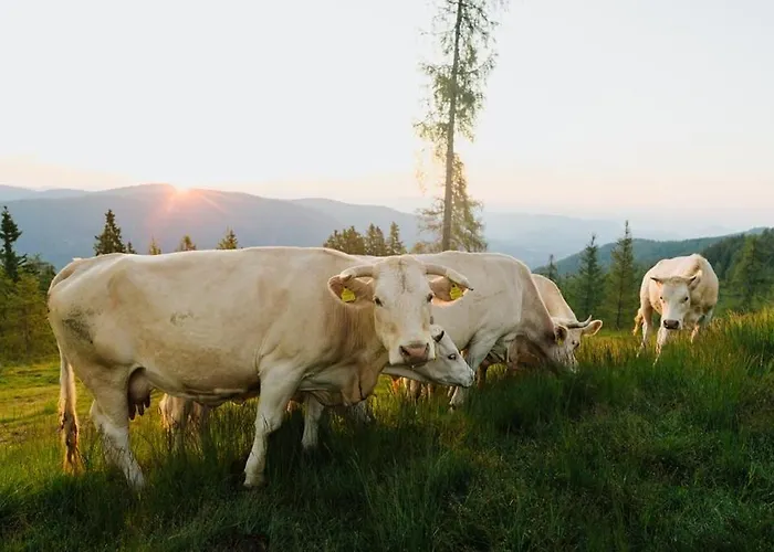 Glatz Hof Nockberge Apartament Gnesau