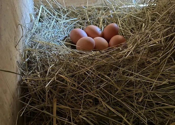 Glatz Hof Nockberge Apartament Gnesau