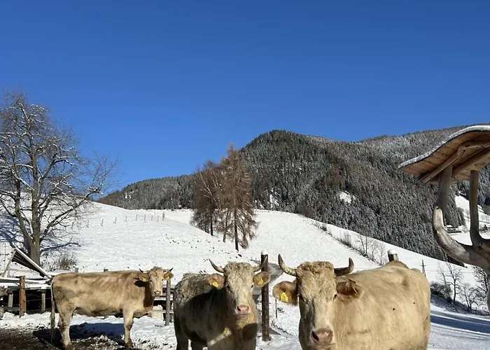 Glatz Hof Nockberge Apartament *