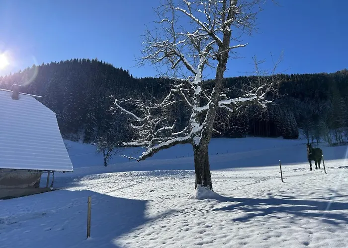 Apartament Glatz Hof Nockberge