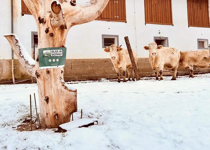 Apartament Glatz Hof Nockberge *