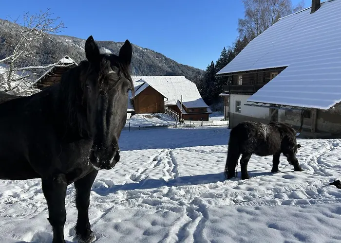 Apartament Glatz Hof Nockberge Gnesau