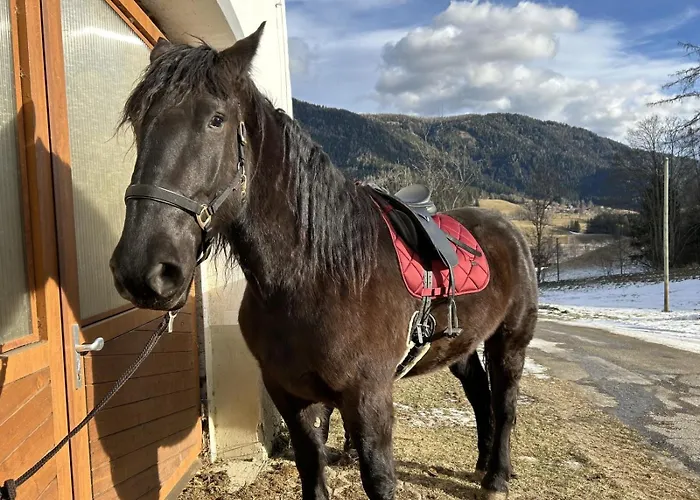 Apartament Glatz Hof Nockberge Gnesau