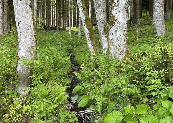 Glatz Hof Nockberge Apartament *