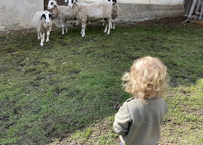 Glatz Hof Nockberge Apartament *